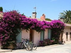 183 ILE DE PORQUEROLLES -2_000035